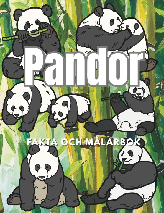 Kniha Pandor Steven Book