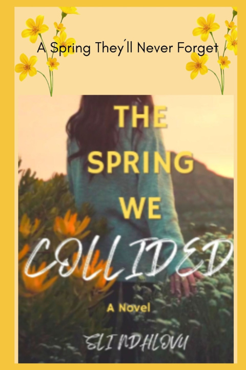 Kniha The Spring We Collided Sli Ndhlovu