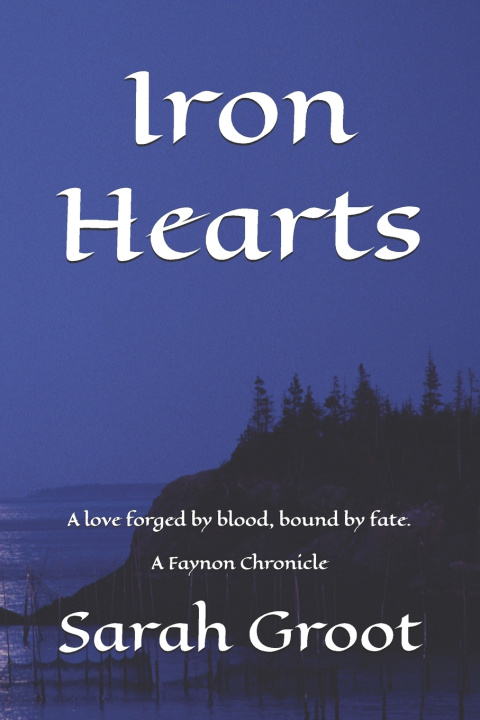 Kniha Iron Hearts Sarah Groot