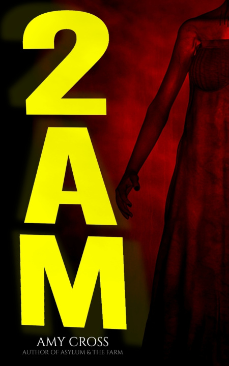Kniha 2am Amy Cross