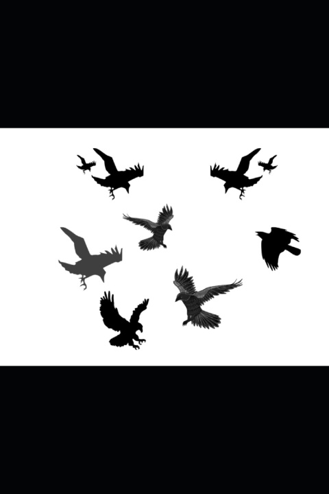 Kniha 9 Crows Jahfiyah Sharai Adonai K