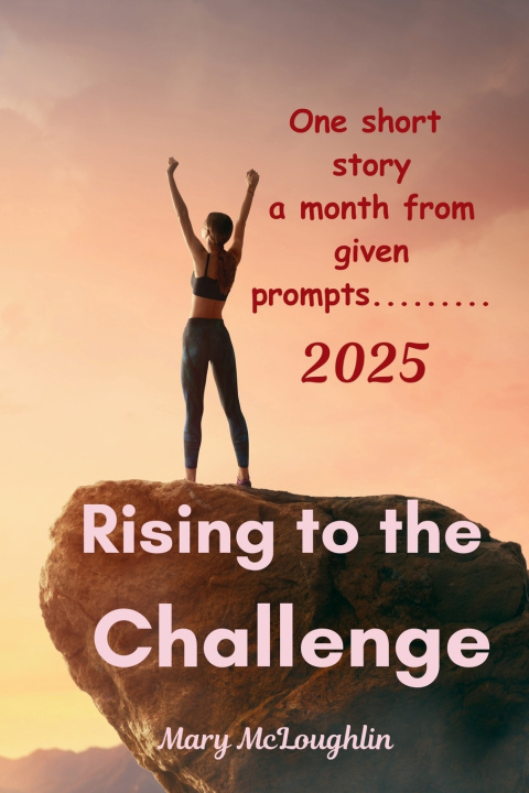 Knjiga Rising to the Challenge Mary McLoughlin