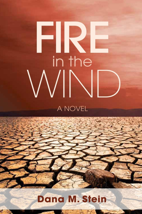 Kniha Fire in the Wind Dana M. Stein