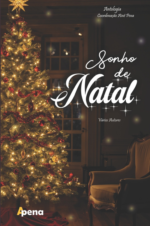 Kniha Sonho de Natal Ainê Pena
