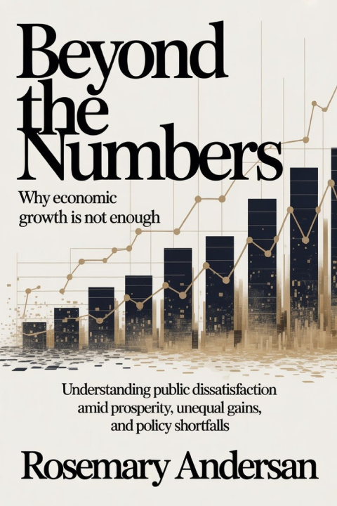 Kniha Beyond the Numbers Rosemary Andersan