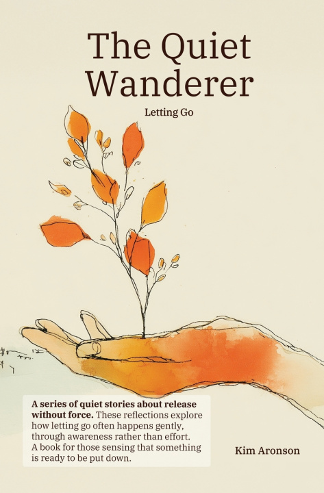 Kniha The Quiet Wanderer Kim Aronson