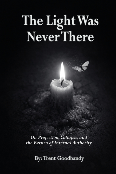 Kniha THE LIGHT WAS NEVER THERE Trent Goodbaudy