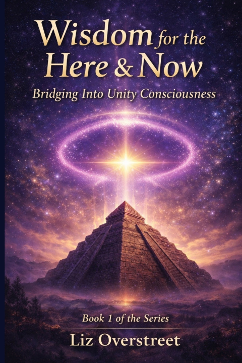 Kniha Wisdom for the Here & Now Liz Overstreet
