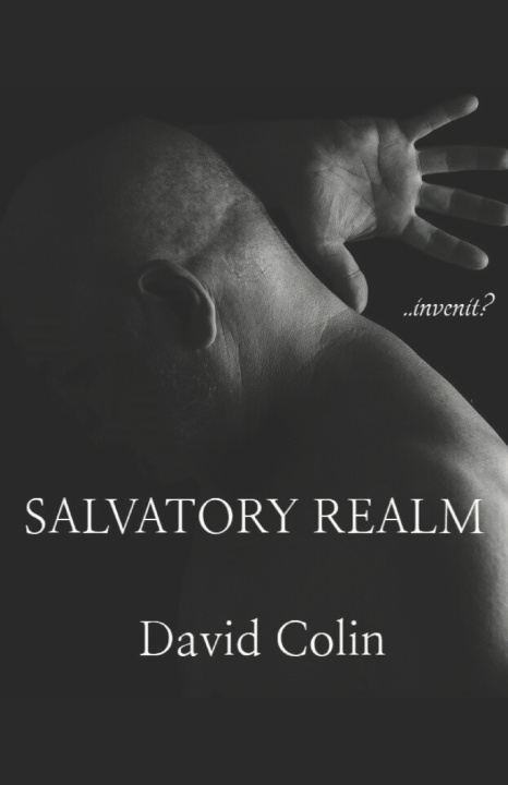Kniha Salvatory Realm David Colin