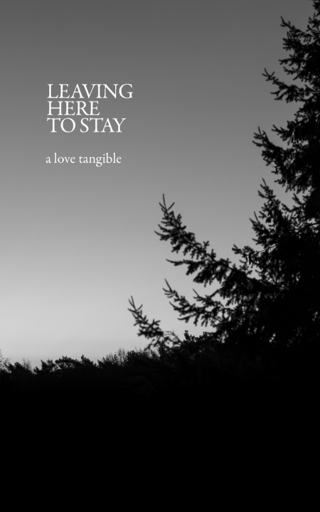 Kniha a Love Tangible Leaving Here to Stay