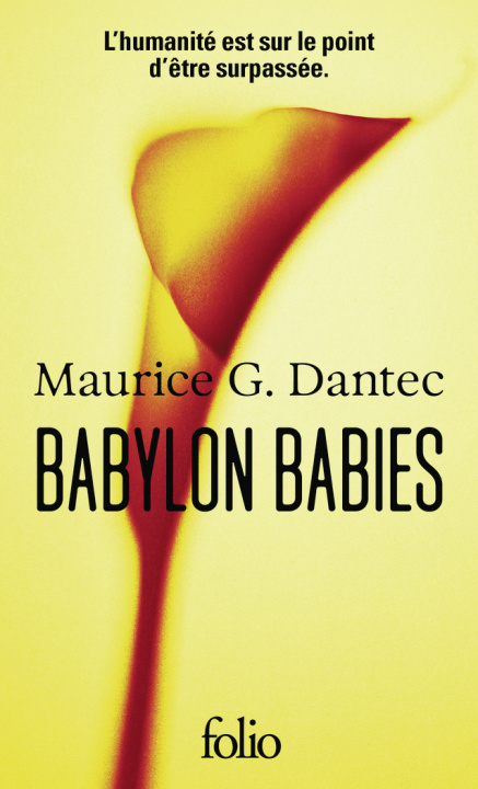 Kniha Babylon Babies Dantec
