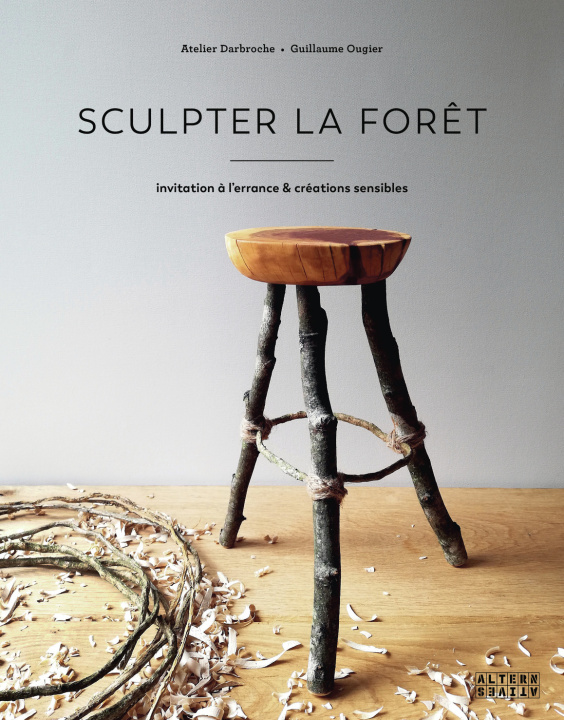 Kniha Sculpter la forêt Atelier Darbroche