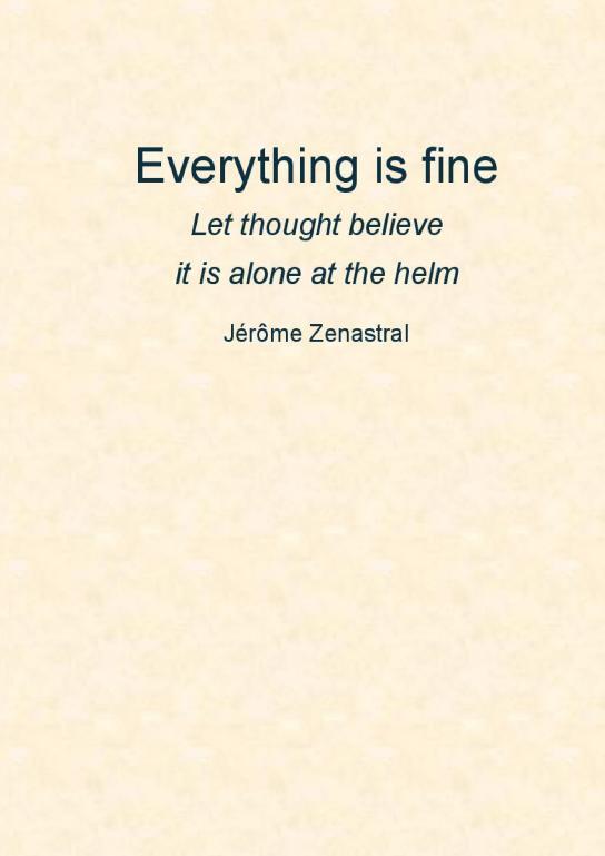 Kniha Everything is fine Jérôme Zenastral