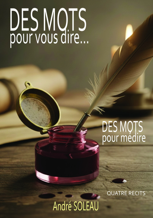 Kniha DES MOTS POUR VOUS DIRE SOLEAU