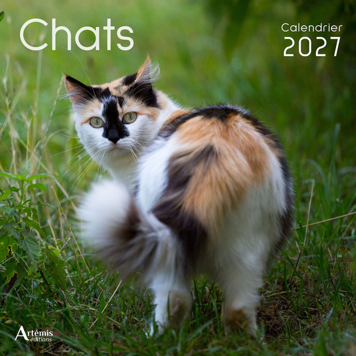 Kniha CALENDRIER CHATS 2027 L.BARRUEL