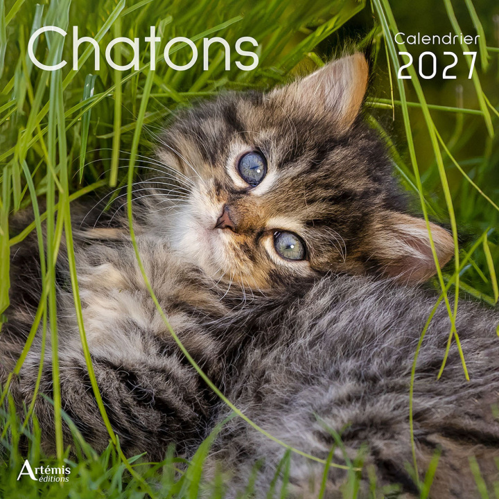 Kniha CALENDRIER CHATONS 2027 