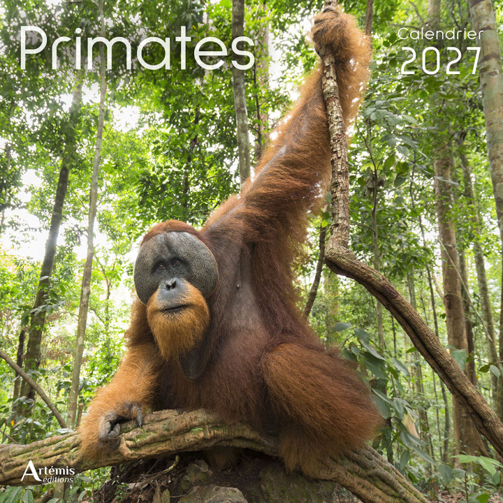 Kniha CALENDRIER PRIMATES 2027 