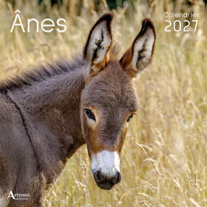Kniha CALENDRIER ANES 2027 