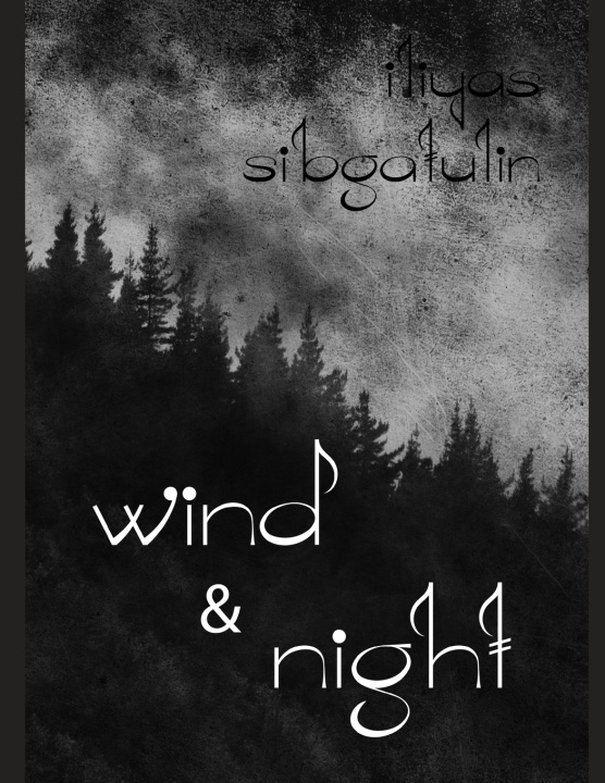 Kniha Wind & Night ILIYAS SIBGATULIN