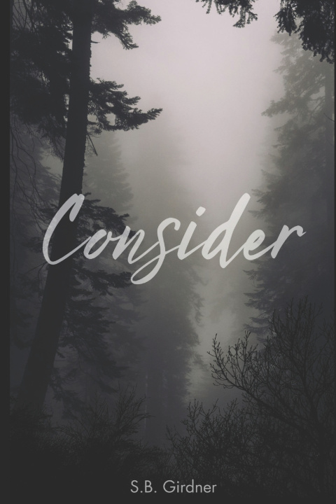 Kniha Consider Su B Girdner