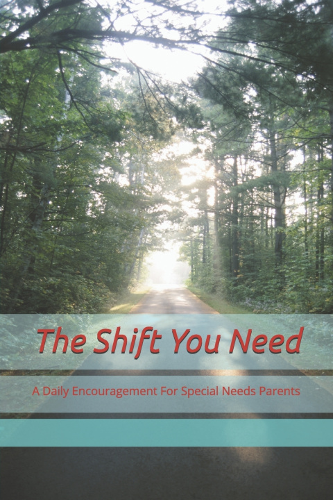 Kniha The Shift You Need Dawn Brook