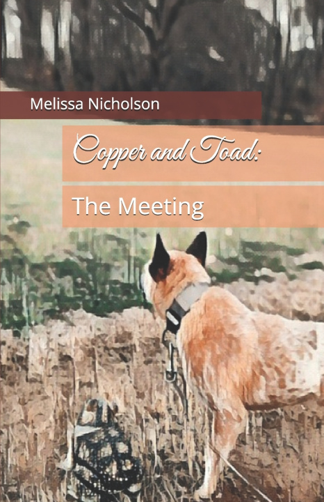 Kniha Copper and Toad Melissa Nicholson
