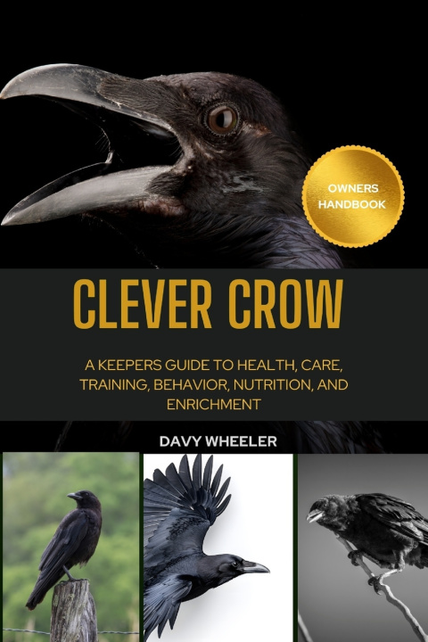Kniha CLEVER CROW DAVY WHEELER
