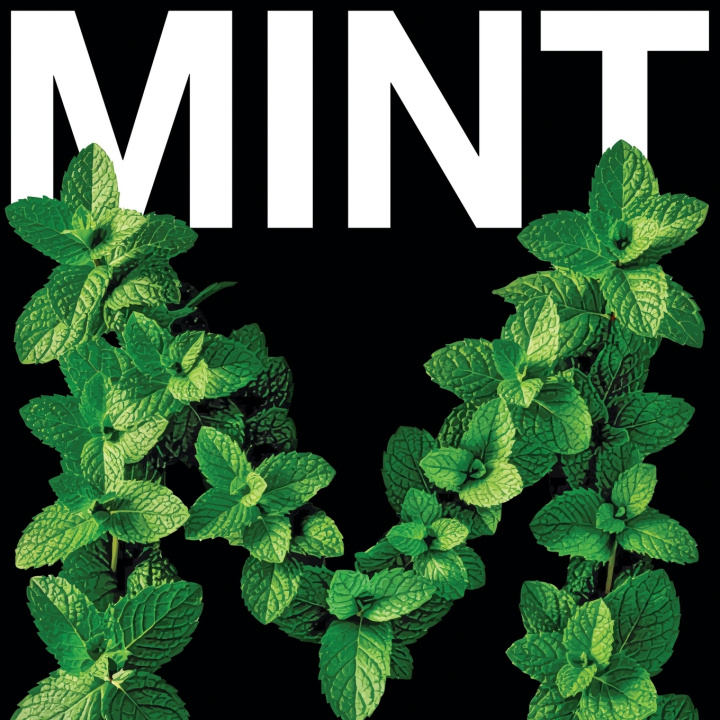 Kniha MINT Susan Bonser