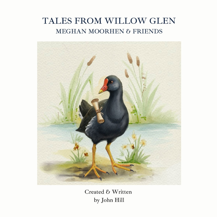 Buch Tales From Willow Glen John Hill