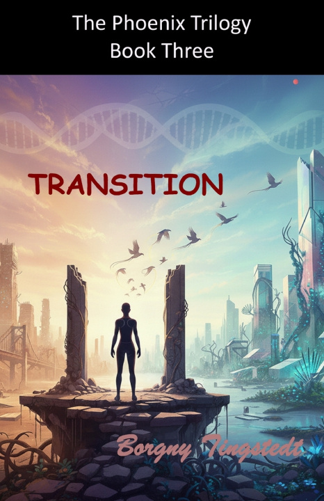 Kniha Transition Borgny Tingstedt