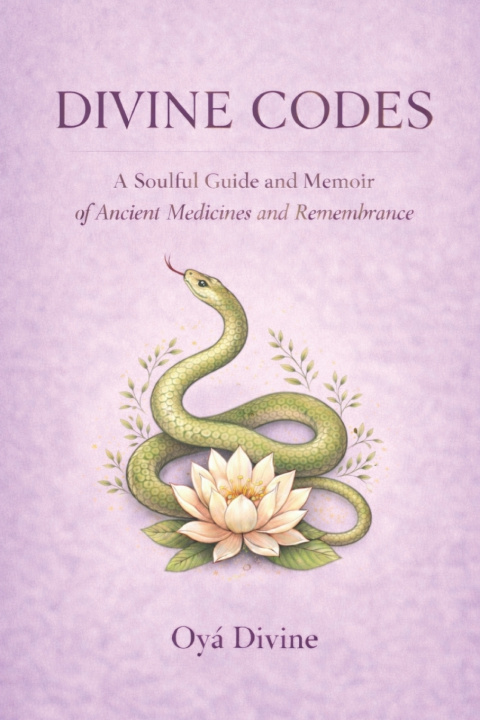 Kniha Divine Codes Oyá Hailu