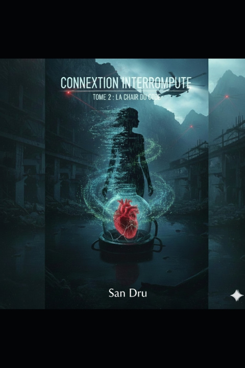 Książka CONNEXION INTERROMPUE San Dru