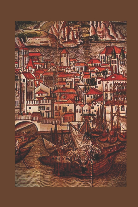 Boek A Scourge of Relics Jim McDermott