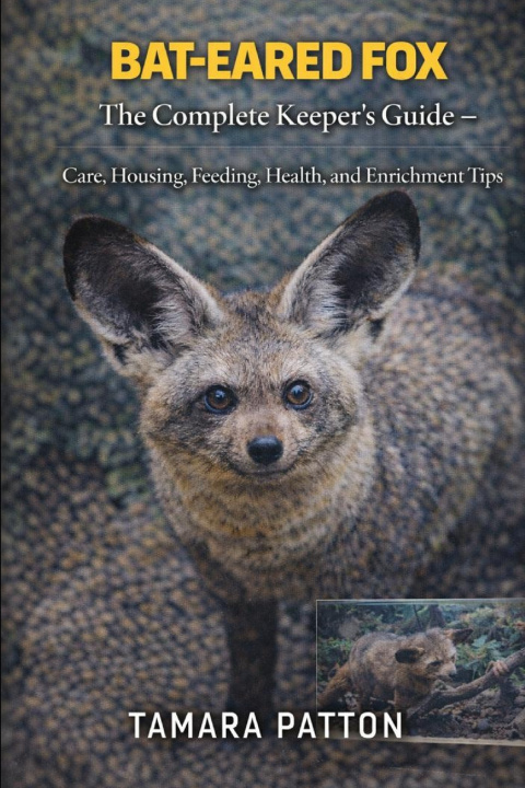 Carte BAT-EARED FOX TAMARA PATTON