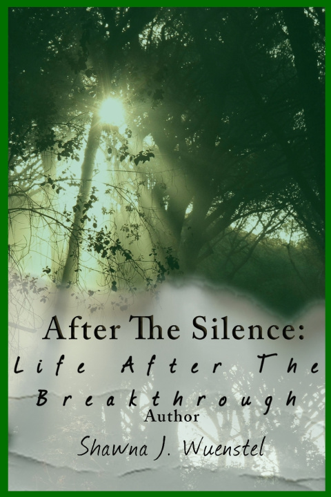 Kniha After the Silence Shawna Wuenstel