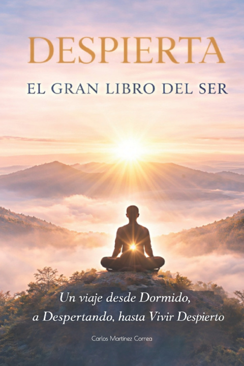 Kniha DESPIERTA Carlos Martínez Correa