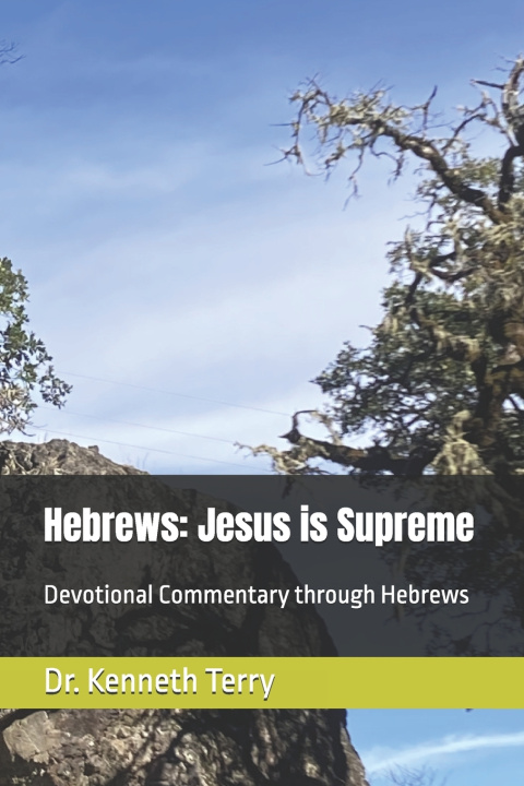 Kniha Hebrews Kenneth Terry