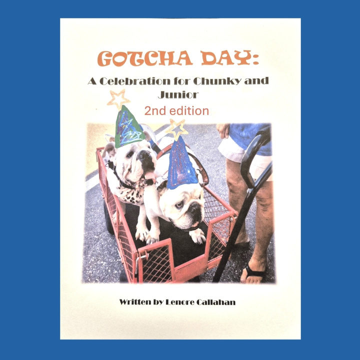 Kniha Gotcha Day Lenore Callahan