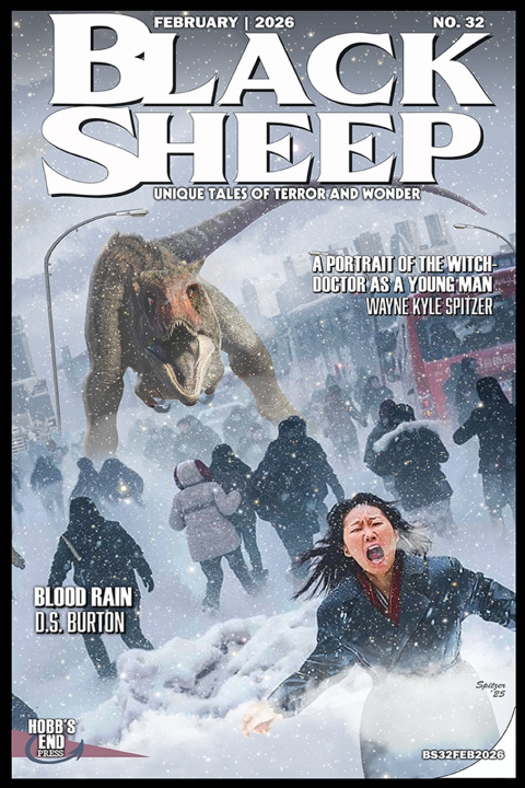 Buch Black Sheep Rajeev Prasad