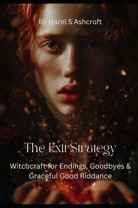 Kniha The Exit Strategy Hazel S Ashcroft