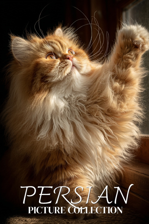 Kniha Persian Cat Photo Collection Ymi Collection