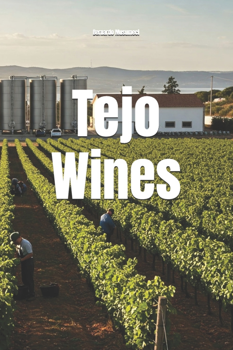 Kniha Tejo Wines Bernardo Musumeci