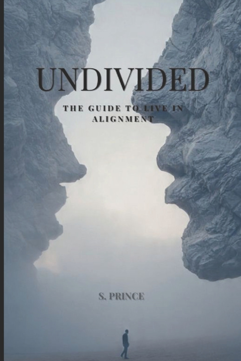 Kniha UNDIVIDED S. Prince