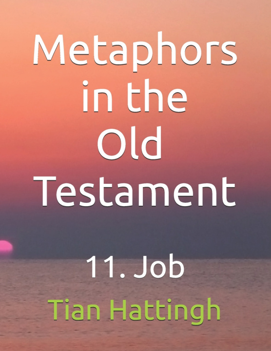 Kniha Metaphors in the Old Testament Tian Hattingh