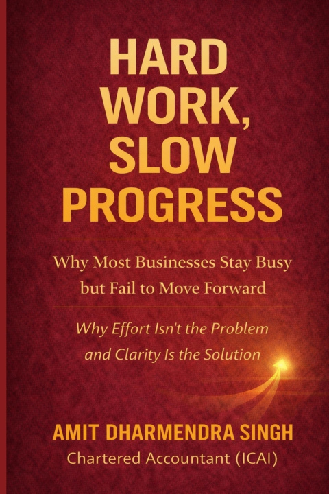 Kniha Hard Work, Slow Progress Amit Dharmendra Singh