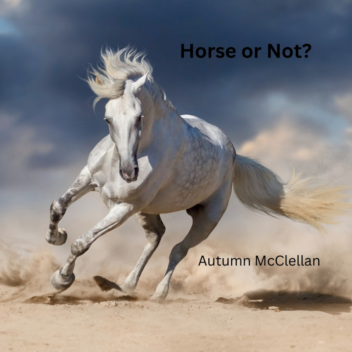 Knjiga Horse or Not? Autumn McClellan