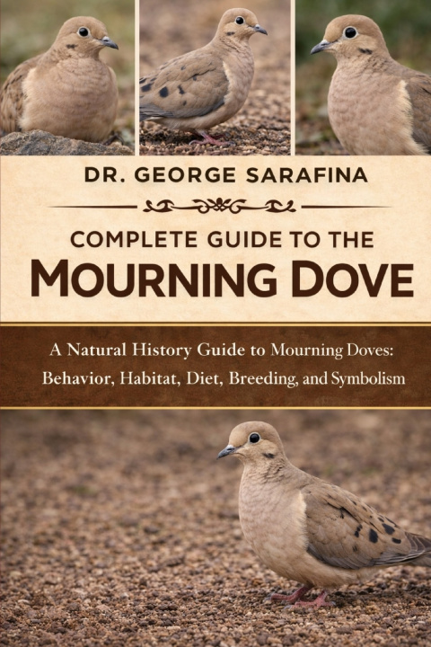 Kniha COMPLETE GUIDE TO THE MOURNING DOVE DR. GEORGE SARAFINA