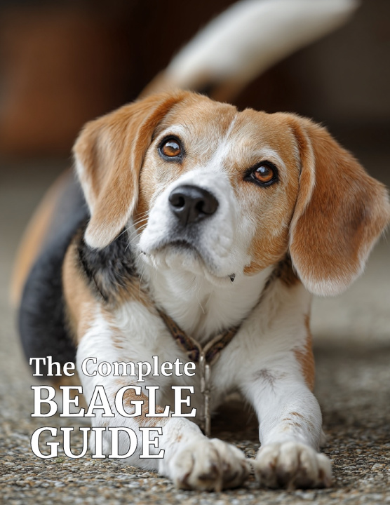 Kniha The Complete Beagle Guide Jack Rtot