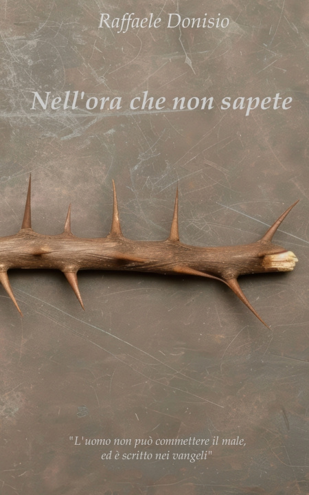 Knjiga Nell'ora che non sapete Raffaele Donisio