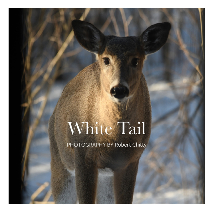 Kniha White Tail Robert Chitty